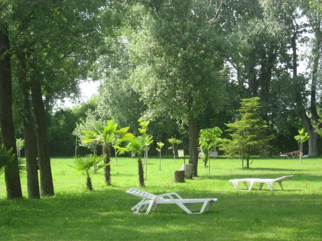 Laghetto Ai Portici Bed and Breakfast Pastrengo Εξωτερικό φωτογραφία